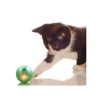 Interactive Cat Track Tower 3 Level LED Ball with Light - Kitten Chase Play Toy Home & Garden Kings Warehouse 