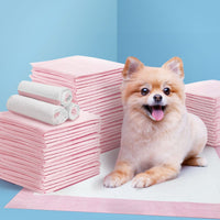 i.Pet Pet Training Pads 200pcs 60x60cm Puppy Dog Toilet Pee Indoor Super Absorbent Pink Pet Care Kings Warehouse 