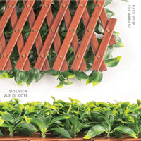 Jasmine Artificial Hedge Extendable Trellis / Screen 2 Meter By 1 Meter UV Resistant (PVC) Home & Garden Kings Warehouse 