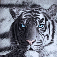 Just Home Set of 3 Printed Blue Eyes Stripes Tiger Wall Canvas Home & Garden Kings Warehouse 