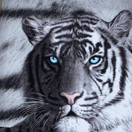 Just Home Set of 3 Printed Blue Eyes Stripes Tiger Wall Canvas Home & Garden Kings Warehouse 
