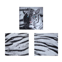 Just Home Set of 3 Printed Blue Eyes Stripes Tiger Wall Canvas Home & Garden Kings Warehouse 