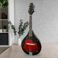 Karrera 8-String Electric Mandolin Kings Warehouse 