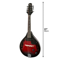 Karrera 8-String Electric Mandolin Kings Warehouse 