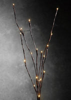 LED Light Bunch Stem - Warm White BATTERY fairy lights - 50cm high 20 bulbs/petals Kings Warehouse 