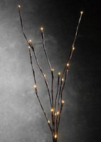 LED Light Bunch Stem - Warm White BATTERY fairy lights - 50cm high 20 bulbs/petals Kings Warehouse 