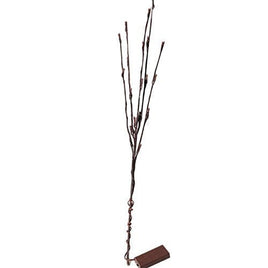 LED Light Bunch Stem - Warm White BATTERY fairy lights - 50cm high 20 bulbs/petals Kings Warehouse 