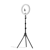 LED Ring Light 12" 5500K Dimmable Diva Diffuser With Stand Make Up Kings Warehouse 