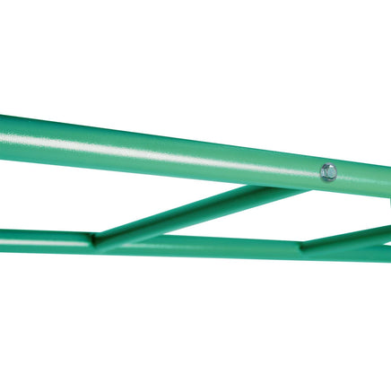 Lifespan Kids Amazon Monkey Bars Only (3m) Baby & Kids Kings Warehouse 