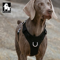 Lightweight Harness Black L Auto Accessories Kings Warehouse 
