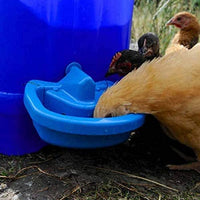 Maxi-Cup Automatic Poultry Waterer Cups x 2 Pet Care Kings Warehouse 
