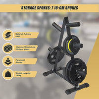 Olympic Weight Plate Storage Rack 250kg Capacity Sports & Fitness Kings Warehouse 