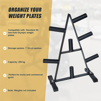 Olympic Weight Plate Storage Rack 250kg Capacity Sports & Fitness Kings Warehouse 