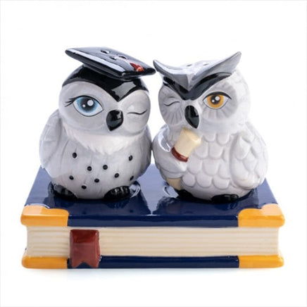 Owl Salt and Pepper Set Kings Warehouse 