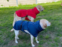 Pet Dog Raincoat Poncho Jacket Windbreaker Waterproof Clothes with Harness Hole-XL-Blue Kings Warehouse 