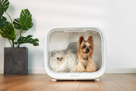 PETKIT AIRSALON Smart Pet Dryer Box Pet Care Kings Warehouse 