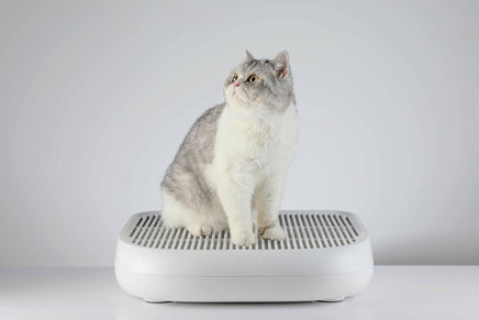 PETKIT Cat Litter Trapper Pet Care Kings Warehouse 