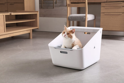 PETKIT Pura Cat Litter Box Pet Care Kings Warehouse 