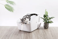 PETKIT Pura Cat Litter Box Pet Care Kings Warehouse 