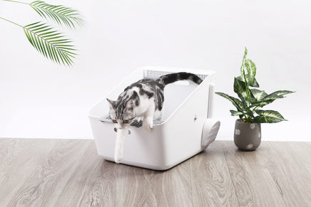 PETKIT Pura Cat Litter Box Pet Care Kings Warehouse 