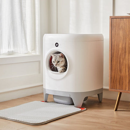 PETKIT Pura X Automated Self-Clean Cat Litter Box Pet Care Kings Warehouse 