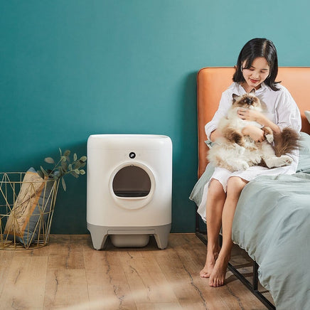 PETKIT Pura X Automated Self-Clean Cat Litter Box Pet Care Kings Warehouse 