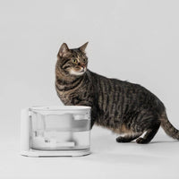 PIDAN Water Fountain With Heating Function Pet Care Kings Warehouse 