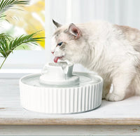 Porcelain Electric Pet Water Fountain Dog Cat Ceramic Water Feeder Bowl Dispenser Pet Care Kings Warehouse 