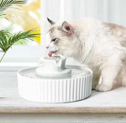 Porcelain Electric Pet Water Fountain Dog Cat Ceramic Water Feeder Bowl Dispenser Pet Care Kings Warehouse 