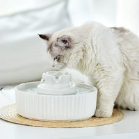Porcelain Electric Pet Water Fountain Dog Cat Ceramic Water Feeder Bowl Dispenser Pet Care Kings Warehouse 