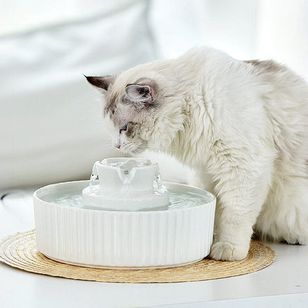 Porcelain Electric Pet Water Fountain Dog Cat Ceramic Water Feeder Bowl Dispenser Pet Care Kings Warehouse 