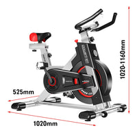 Powertrain IS-500 Heavy-Duty Exercise Spin Bike Electroplated - Silver Kings Warehouse 