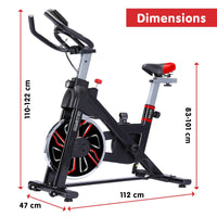 Powertrain RX-600 Exercise Spin Bike Cardio Cycle - Red Kings Warehouse 