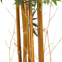 Premium Natural Cane Artificial Bamboo (UV Resistant) 180cm Home & Garden Kings Warehouse 