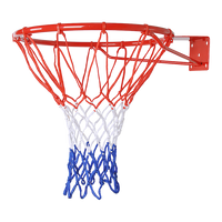 Pro Size Wall Mounted Basketball Hoop Ring Goal Net Rim Dunk Shooting Outdoor