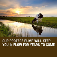 Protege 2HP Submersible Bore Water Pump Well Irrigation Stainless Steel 240V Deep Tools Kings Warehouse 