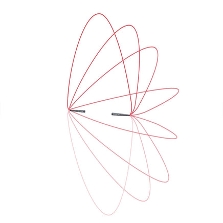 Reebok Skipping Jump Rope (Black/Red, 280cm) Sports & Fitness Kings Warehouse 