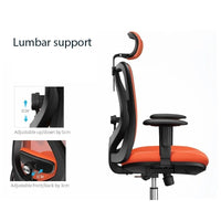 Sihoo M18 Ergonomic Office Chair, Computer Chair Desk Chair High Back Chair Breathable,3D Armrest and Lumbar Support Furniture Kings Warehouse 