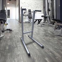 Solid Dip Station Gym Fitness Sports & Fitness Kings Warehouse 