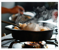 Sori Yanagi Japanese Iron Soup Pot Casserole 22cm with Lid and Fork Home & Garden Kings Warehouse 