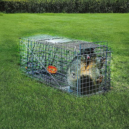Trap Humane Possum Cage Live Animal Safe Catch Rabbit Cat Hare Fox Bird Pet Care Kings Warehouse 