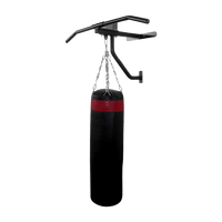 Wall Chin Up Pull Up Bar Punching Bag SpeedBall Station Sports & Fitness Kings Warehouse 