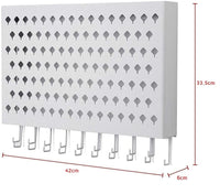 Wall Mount Earring Jewelry Hanger Organizer Holder with 109 Holes and 19 Hooks (White) Kings Warehouse 