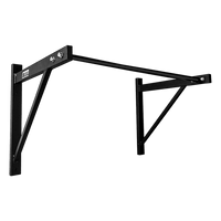 Wall Mounted Pull Up Bar