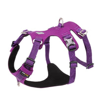 Whinhyepet Harness Purple 2XS Pet Care Kings Warehouse 