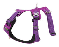 Whinhyepet Harness Purple 2XS Pet Care Kings Warehouse 