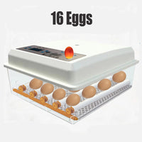 16 Egg Incubator Fully Automatic Digital Thermostat Chicken Eggs Poultry KingsWarehouse 