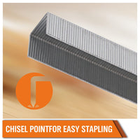 2000Pc Door Shaped Staples Heavy Duty Nails Staple Gun Stapler Refills 8/10/12mm Kings Warehouse 