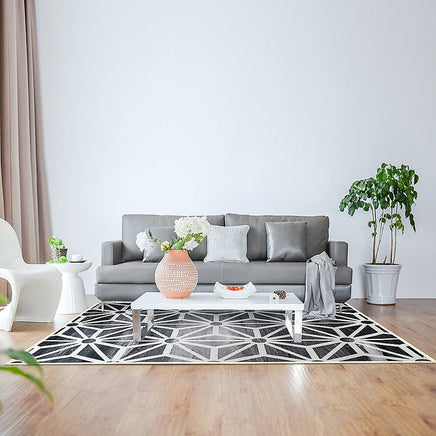 200x300cm Floor Rugs Large Rug Area Carpet Bedroom Living Room Mat living room Kings Warehouse 
