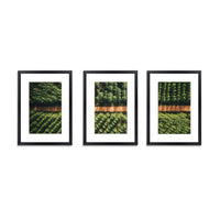 3 PCS Photo Frame Wall Set A3 Picture Home Decor Art Gift Present Black DIY Kings Warehouse 